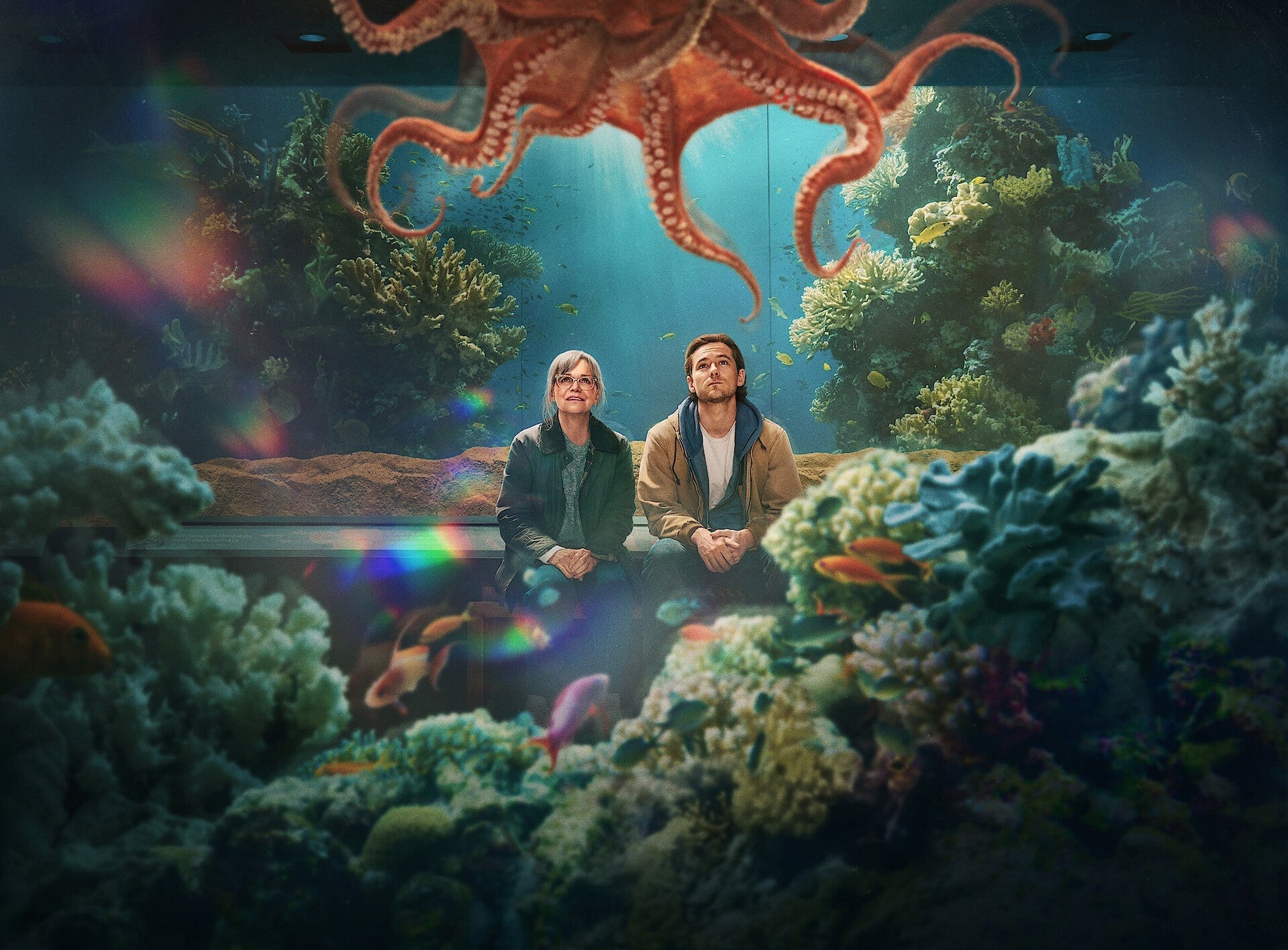 A Remarkably Bright Creature-inspired reading list