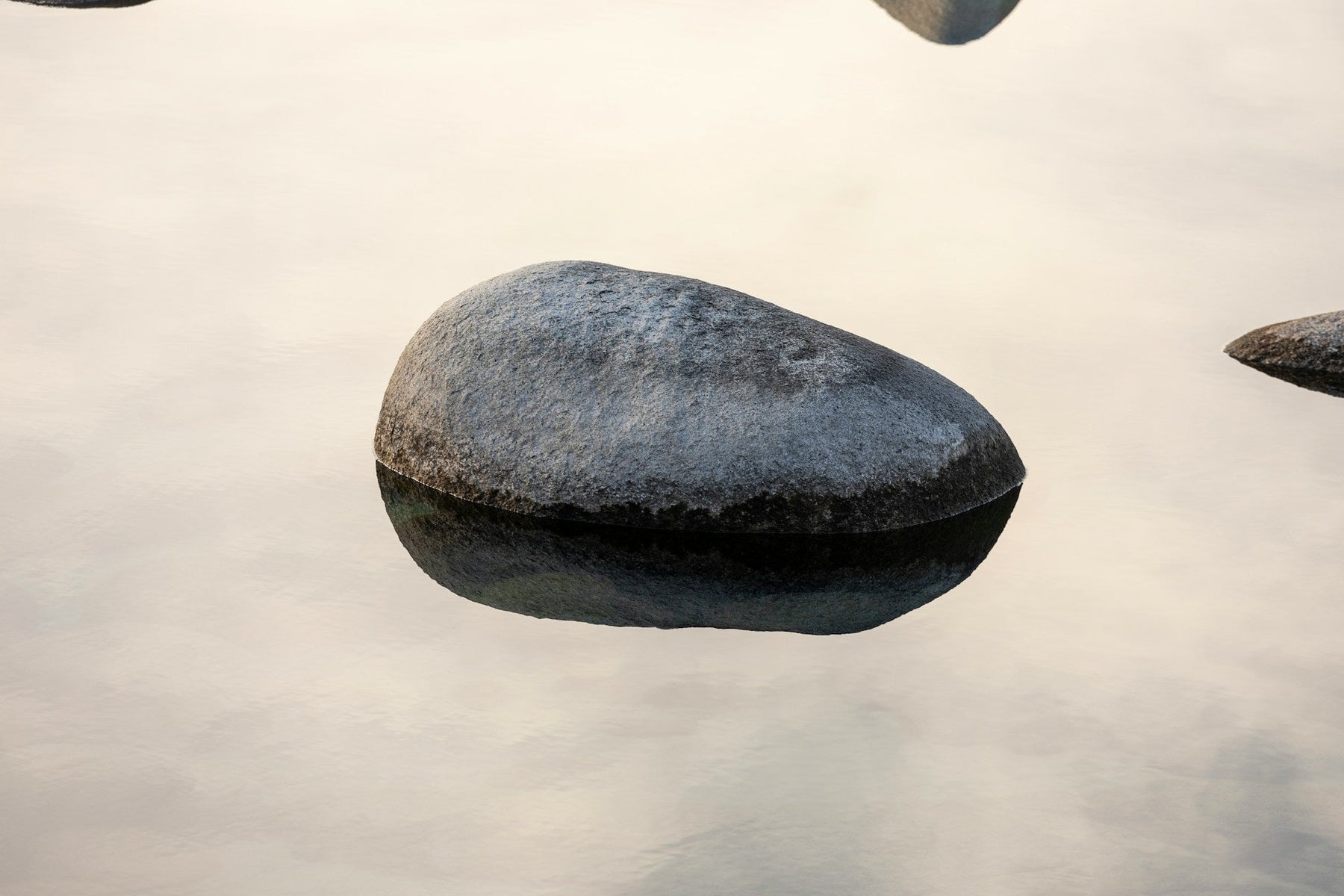 From under my shiny rock to your inbox