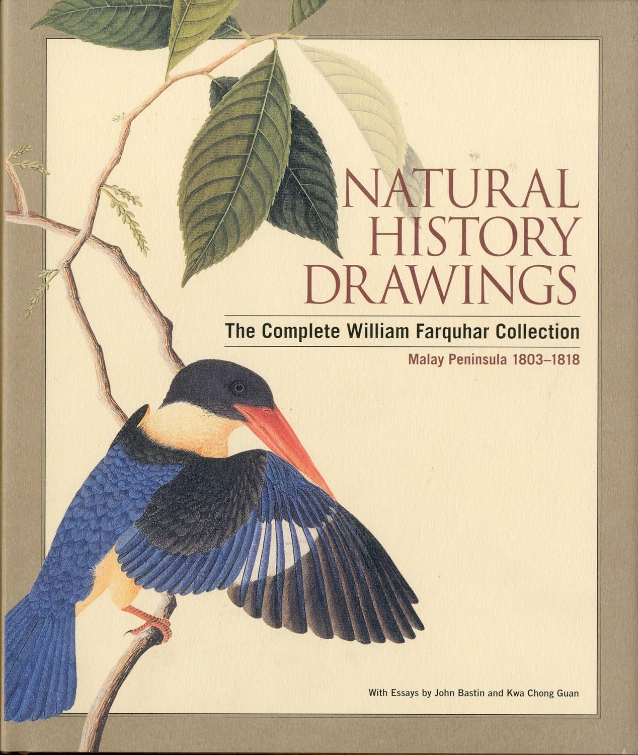 Natural History Drawings: The Complete Farquhar Collection, Malay Peninsula 1803-1818