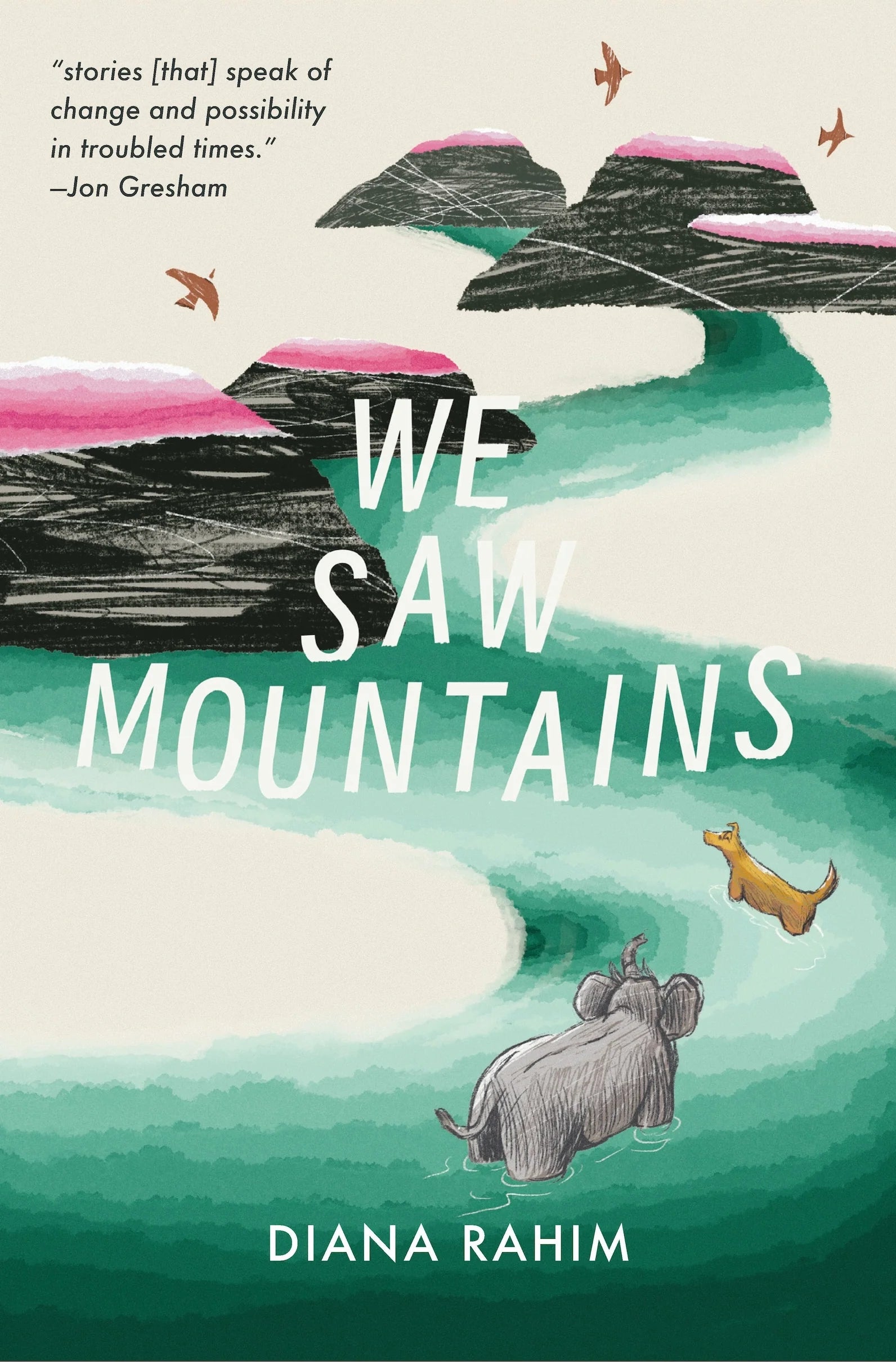 We Saw Mountains
