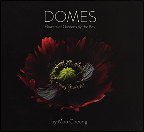 Domes