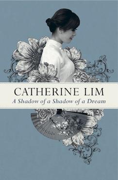 A Shadow of a Shadow of a Dream