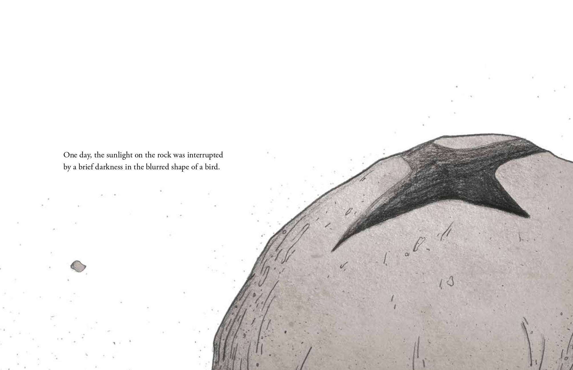 The Rock and the Bird (Hard Cover)