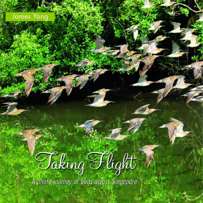 Taking Flight